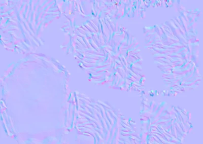 Omni-Man Pelo N
